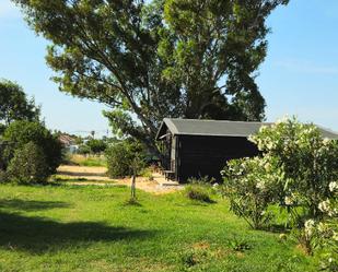 Jardí de Casa o xalet en venda en Chiclana de la Frontera amb Aire condicionat, Calefacció i Jardí privat