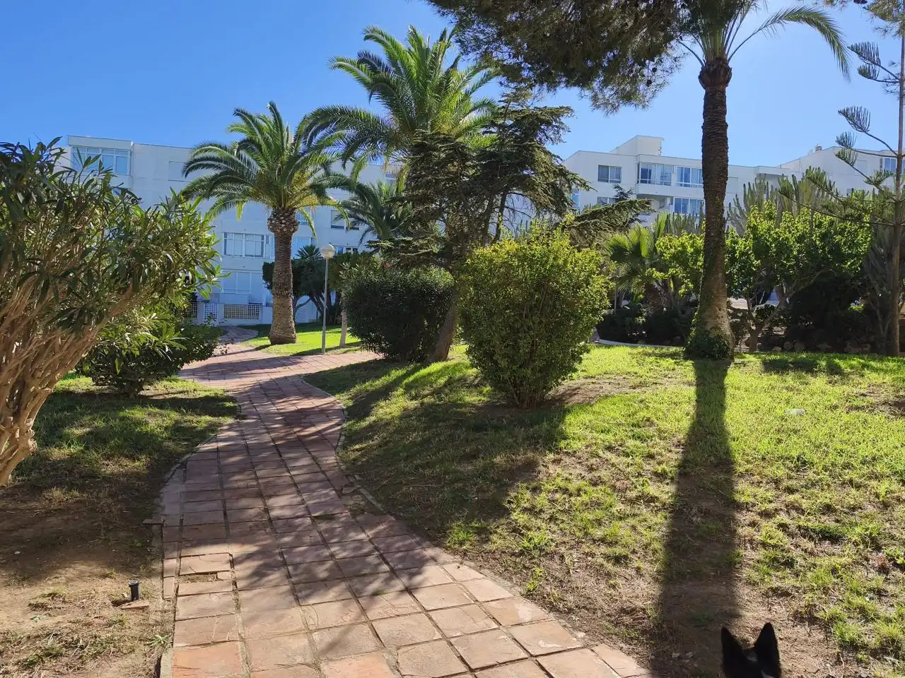 Vista exterior de Piso en venta en Santa Pola con Aire acondicionado y Terraza