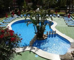 Piscina de Pis de lloguer en Benidorm amb Aire condicionat