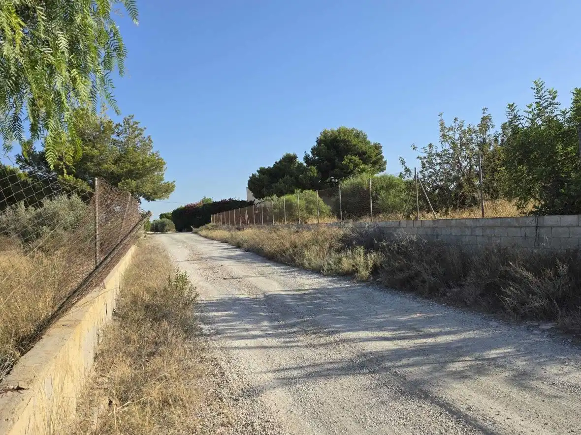 Vista exterior de Finca rústica en venta en Elche / Elx con Terraza