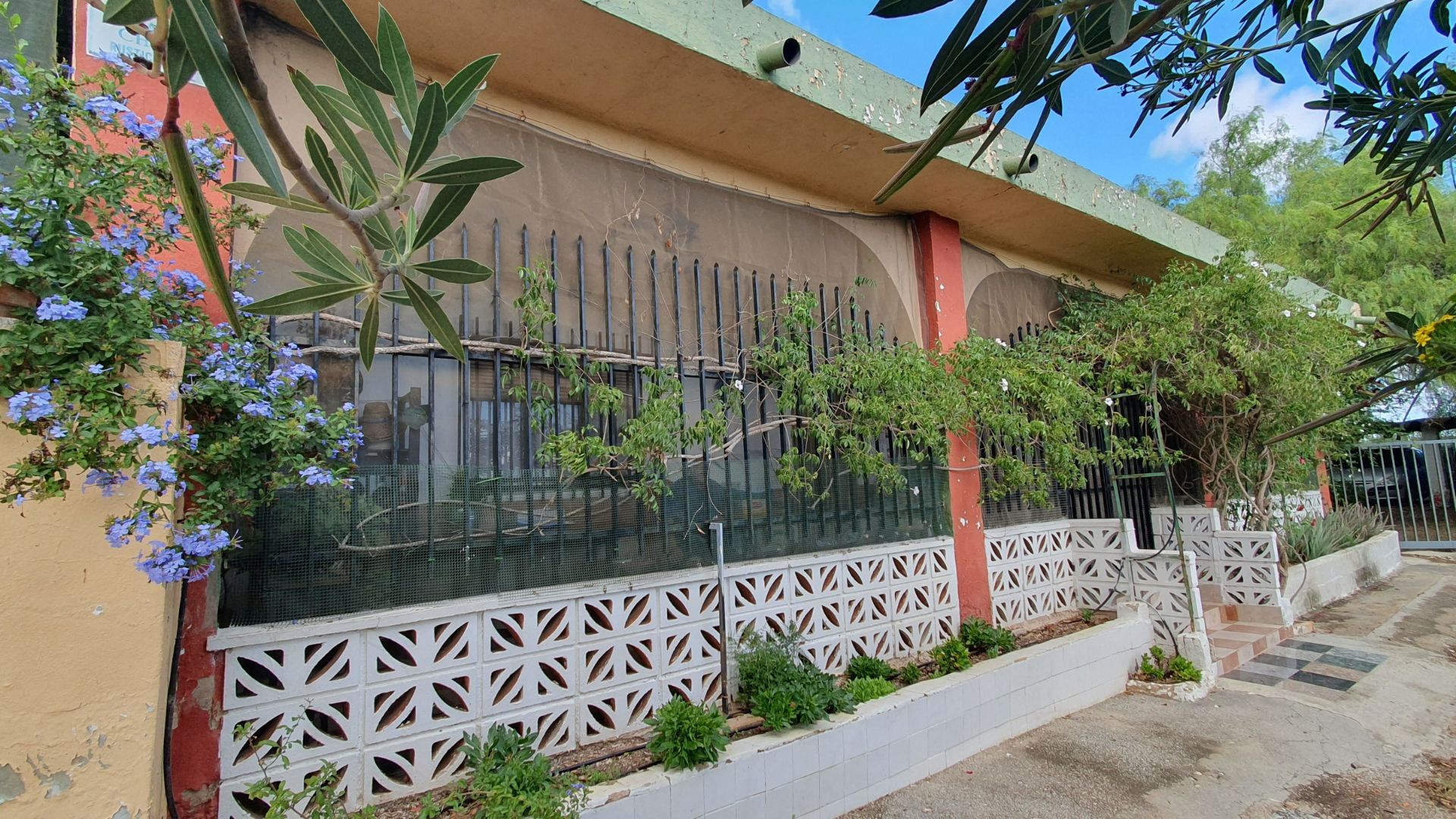 Vista exterior de Casa o xalet en venda en Cheste amb Jardí privat, Terrassa i Traster