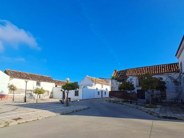 Maison à vendre à De Andalucia