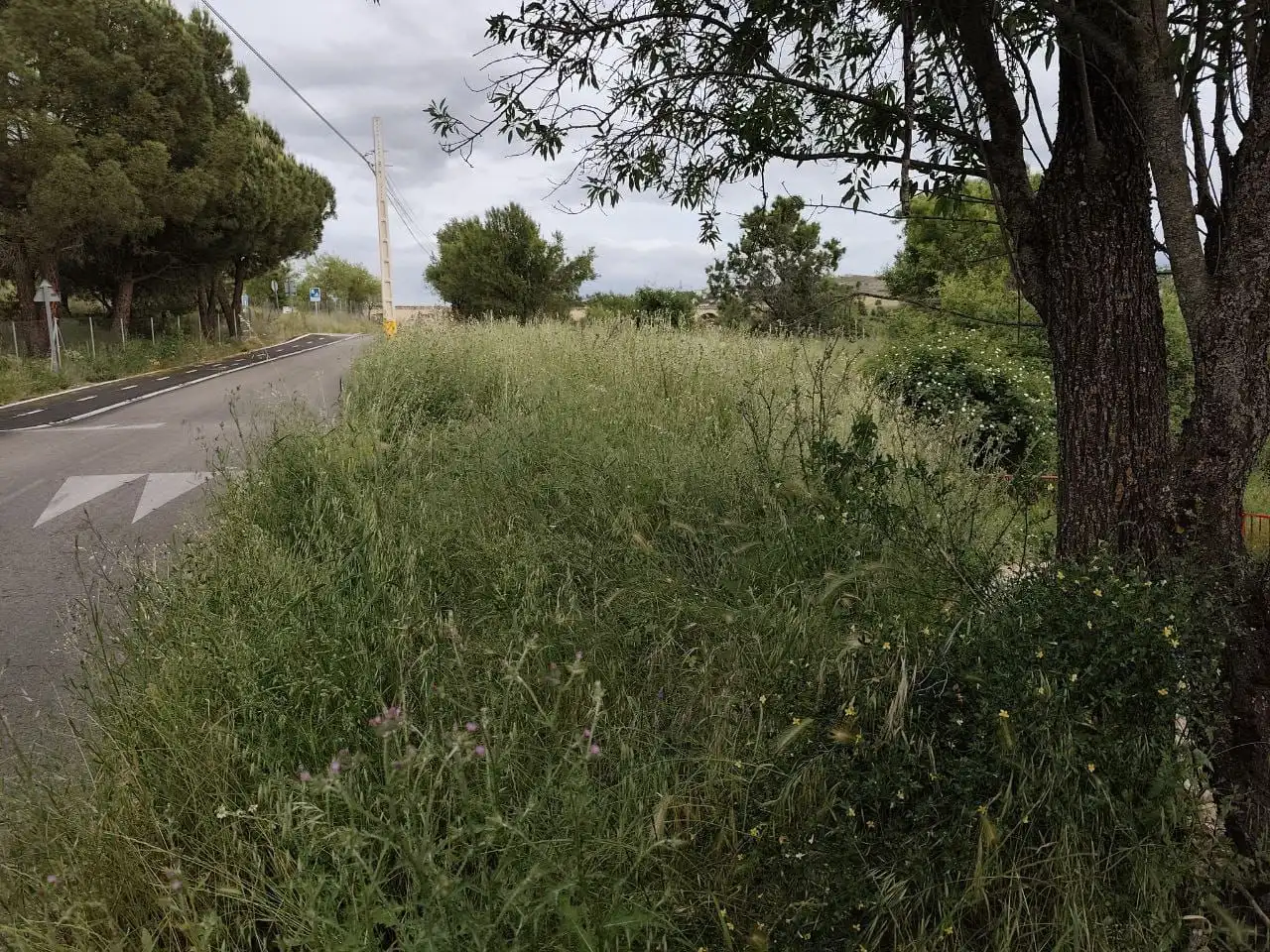 Rural land for sale in Camino del Valle 90, imagen 2