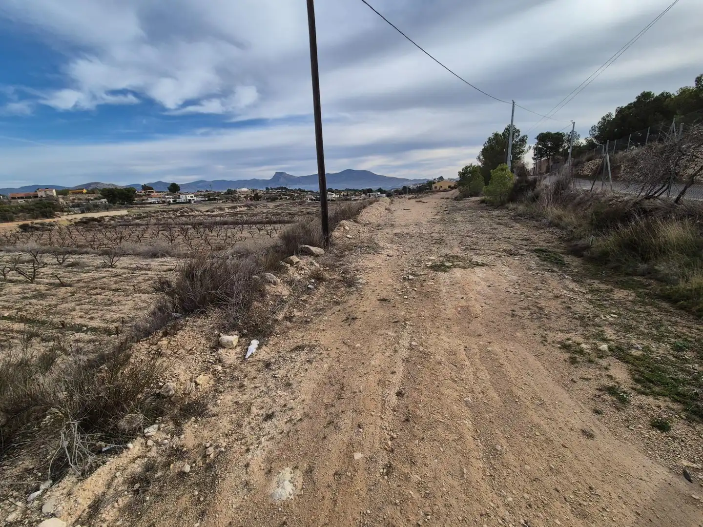 Terreny rústic en venda a Monóvar  / Monòver, imagen 29
