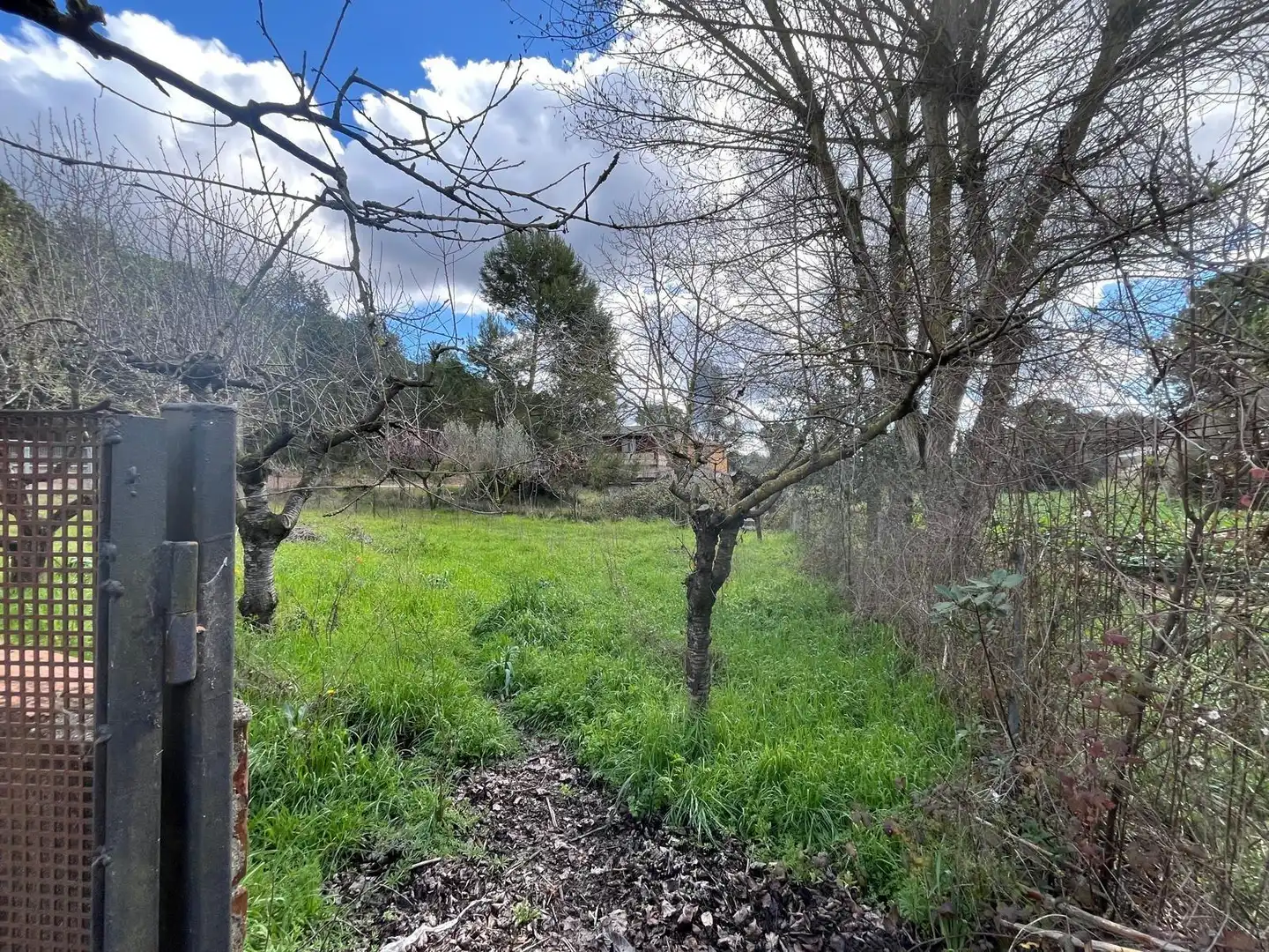 Terreno residencial en venta en El Bruc, imagen 2