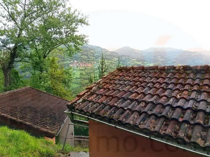 Vista exterior de Finca rústica en venta en Riosa con Calefacción y Amueblado