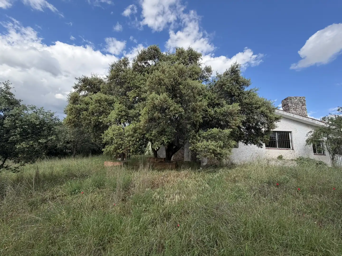 House for sale in Eurovillas, imagen 38