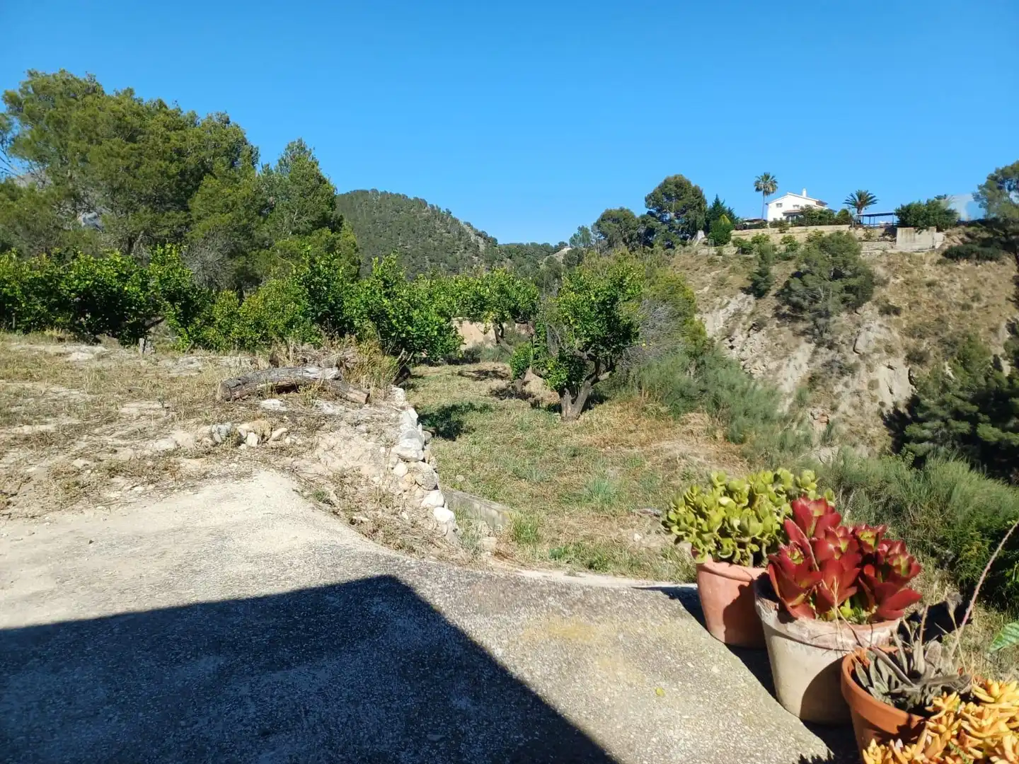 Rural land for sale in Callosa d'en Sarrià, imagen 32