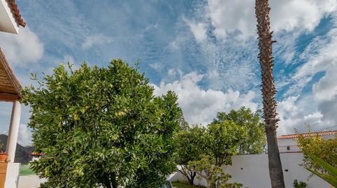 Photo 5 of House or chalet for sale in Calle el Pedregal, Valsequillo de Gran Canaria, Las Palmas