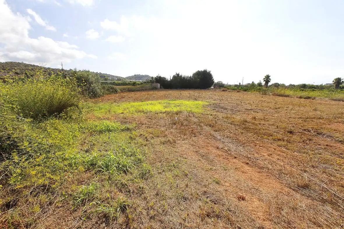 Rural land for sale in Alcanar, imagen 7