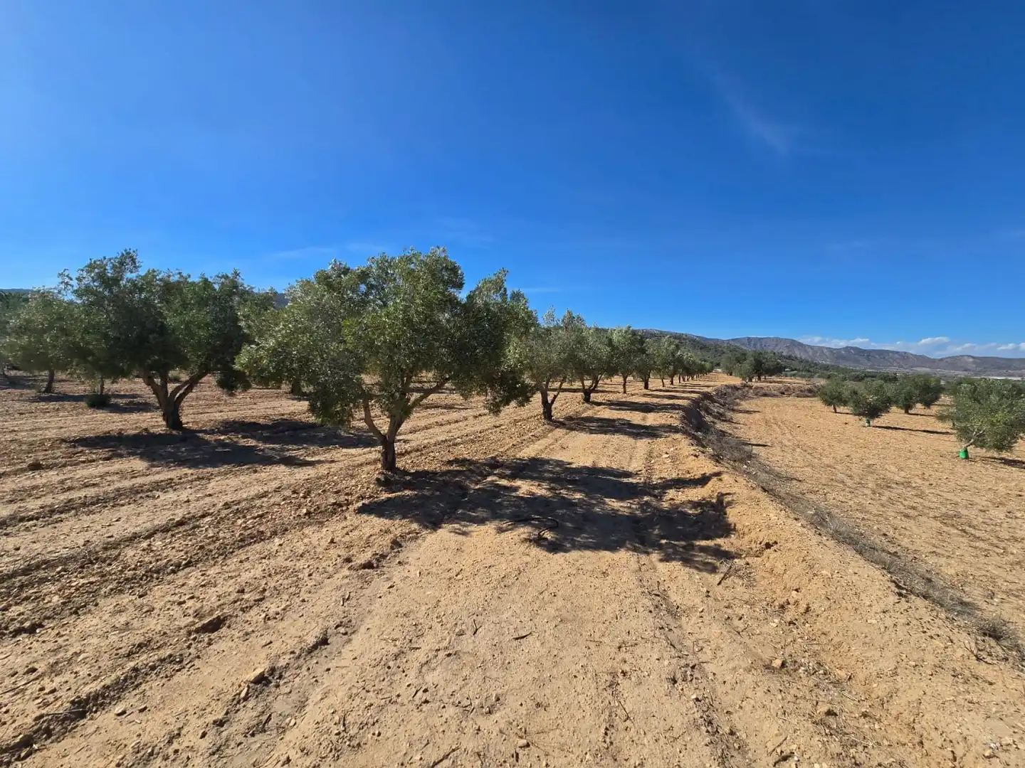 Rustikales Grundstück zum Verkauf in Salinas, imagen 5