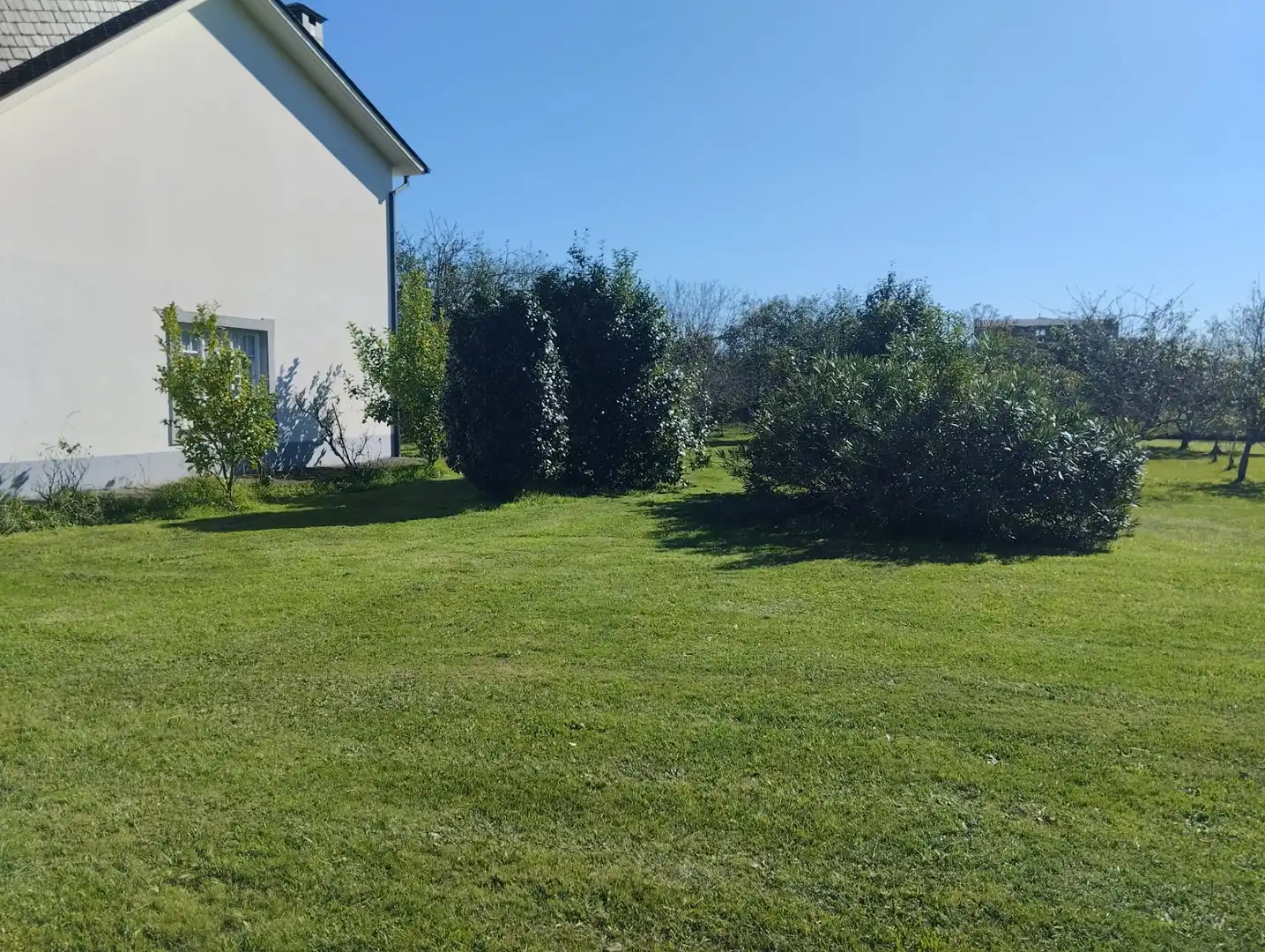 Chalet en venta en O Feal - Xubia, imagen 48