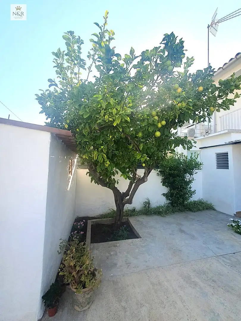 Garden of Detached homes for sale in  Palma de Mallorca  with Terrace