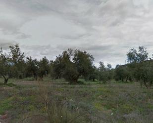 Land for sale in Marchal