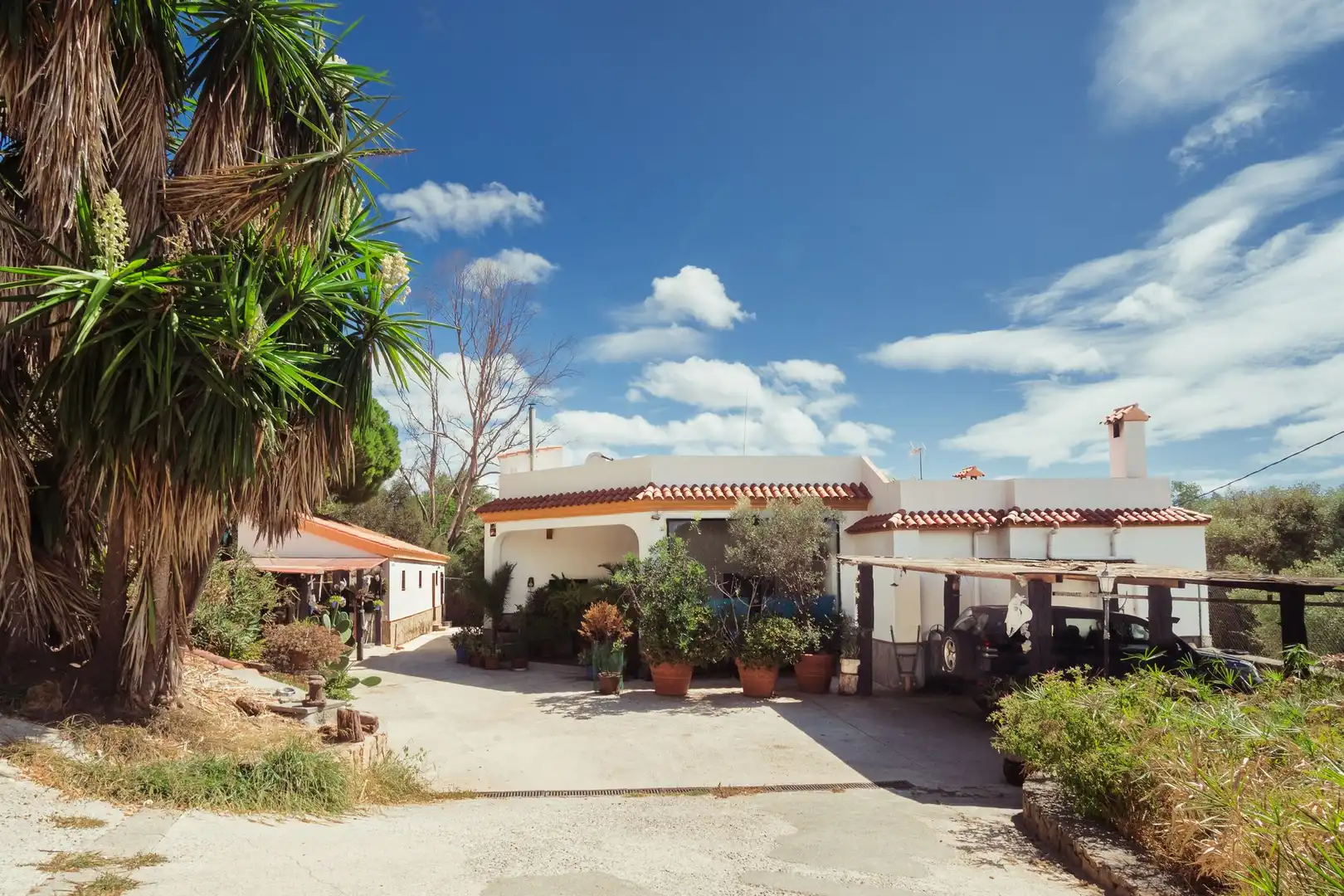 Terrenys i solars en venda a Tarifa ciudad