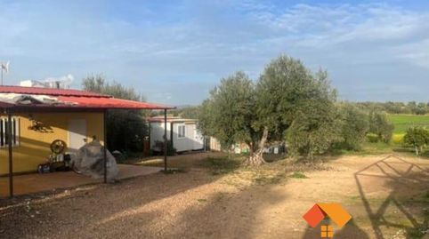 Valverde de MéridaFinca de Recreo, immagine 3