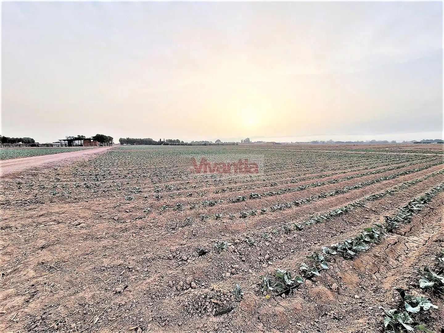 Residential land for sale in Pedanías Centro, imagen 7