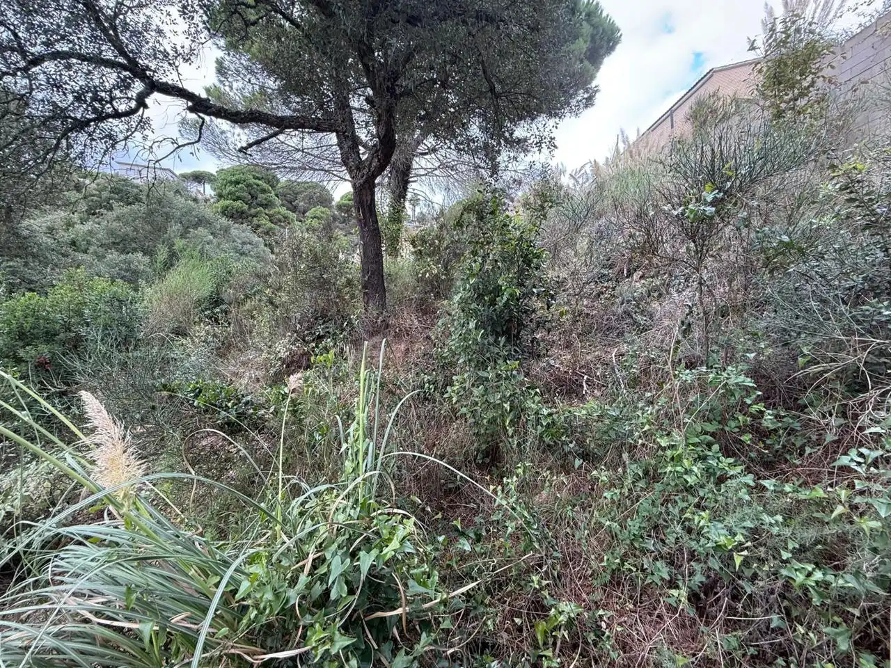 Terrenos y solares en venta en Lloret Residencial - Montlloret, imagen 5
