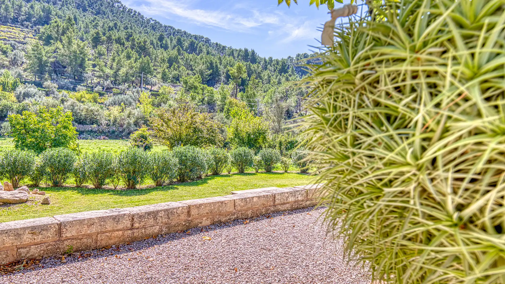 Jardí de Finca rústica en venda en Esporles amb Calefacció, Terrassa i Traster