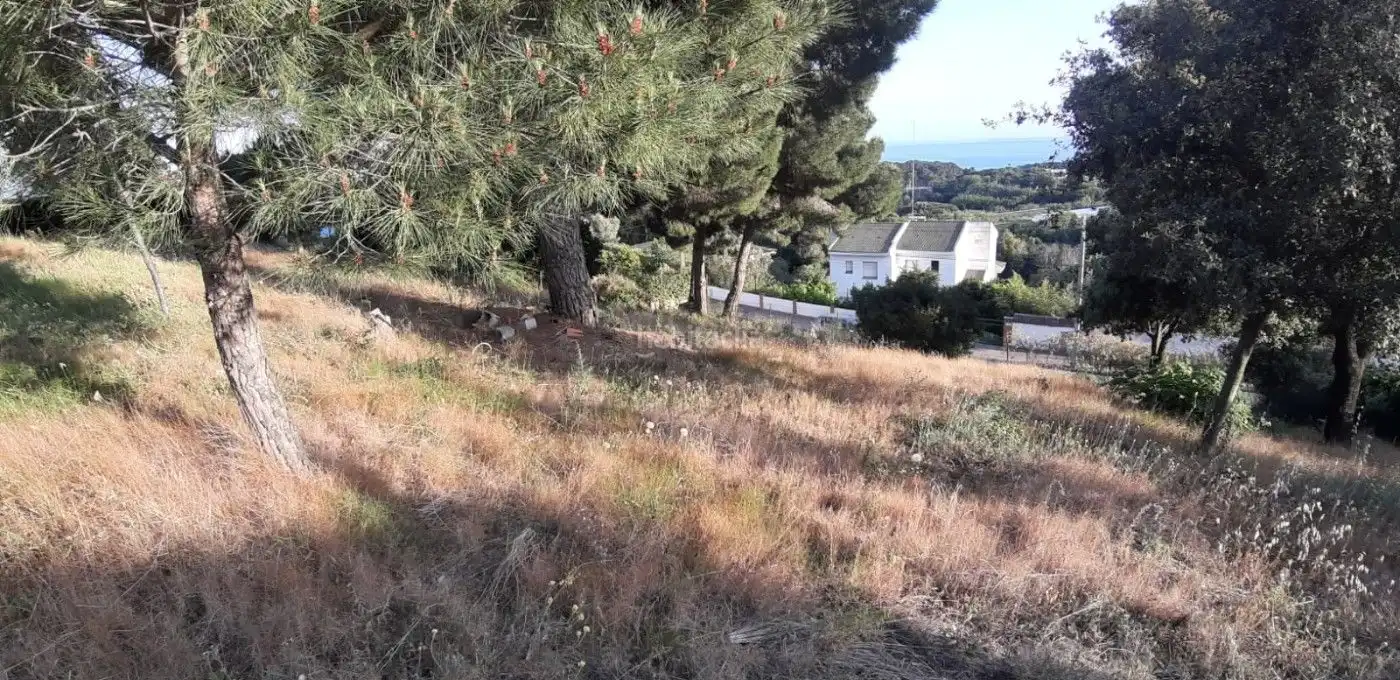 Wohnbaugrundstück zum Verkauf in Carrer Cami de Canet 131, imagen 10