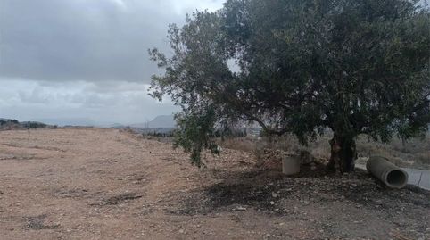 Foto 2 de Finca rústica en venda a Partida Sarganella, 140, Agost, Alicante