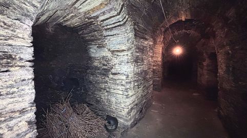 Foto 3 de Finca rústica en venta en Rúa O Pacio, 63, A Rúa , Ourense