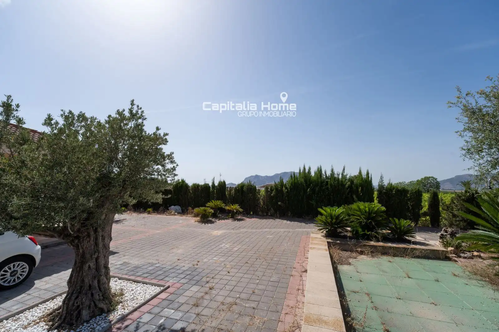 Vista exterior de Casa o chalet en venta en Orihuela