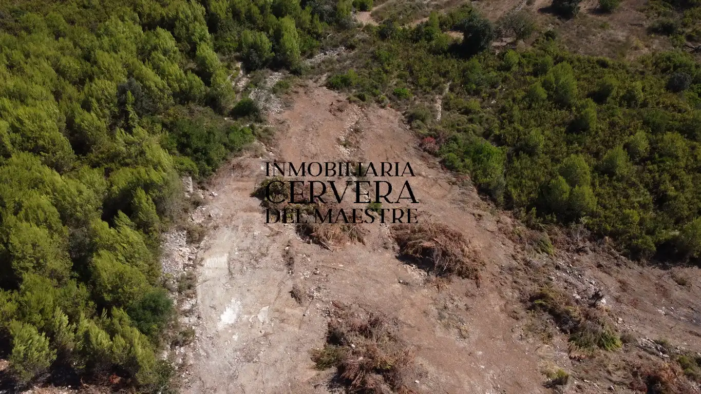 Terreno rustico in vendita a Cervera del Maestre, imagen 17