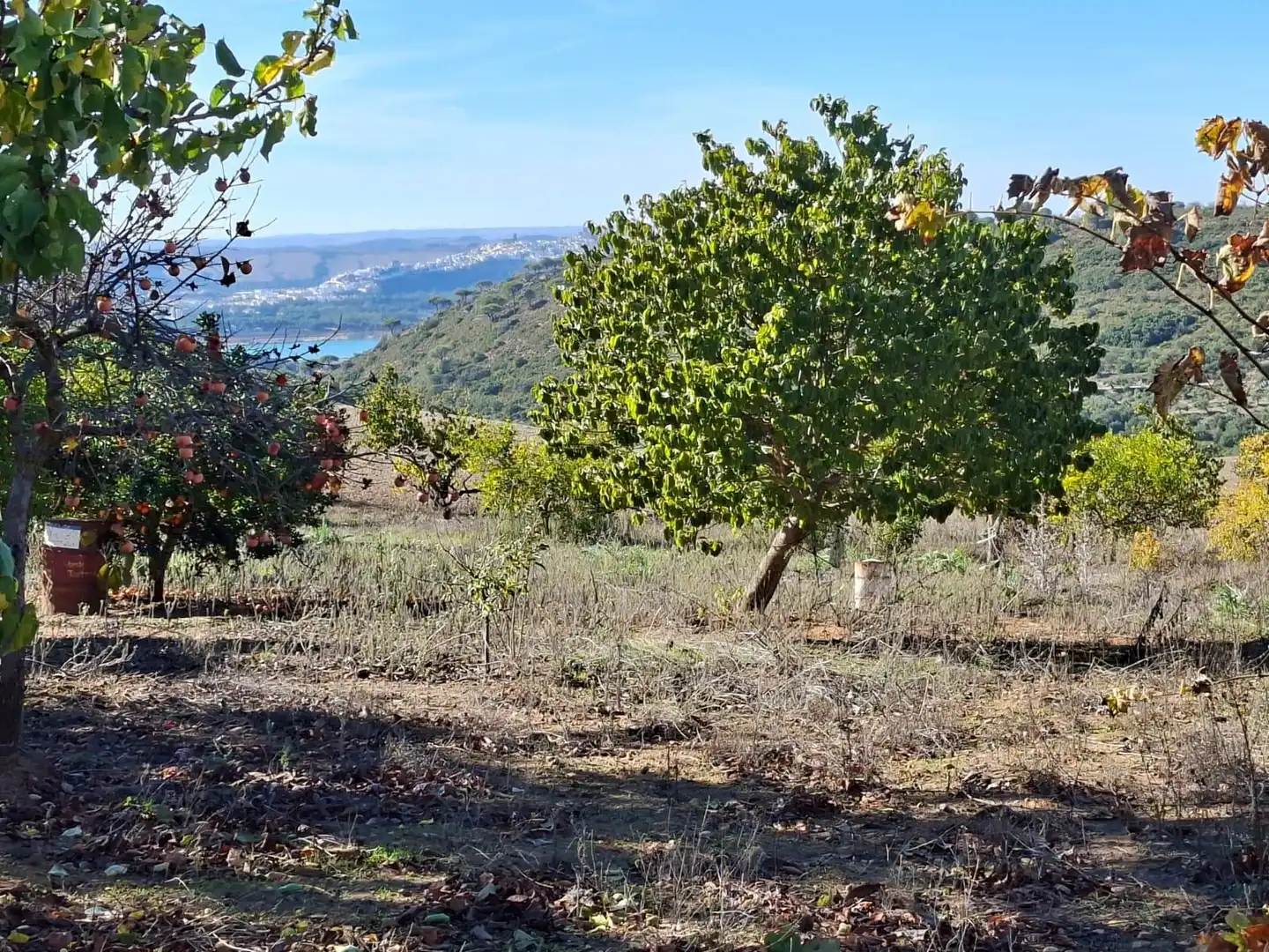 Casa rústica en venda a El Bosque, imagen 9