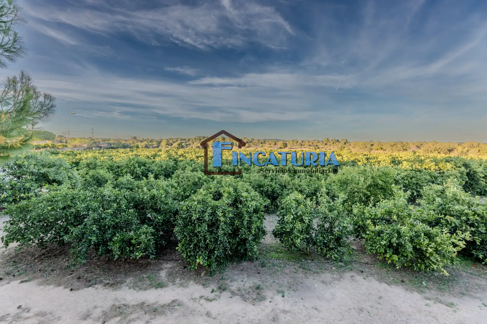 Finca rústica en venta en Manises con Jardín privado y Terraza