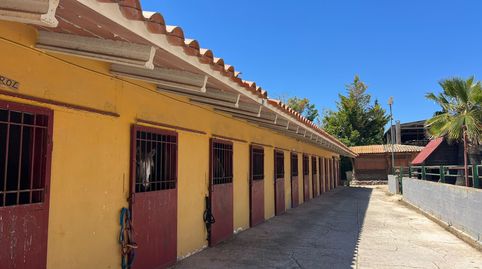 FINCA ECUESTRE EN BONASTRE