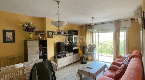 Photo 2 of Flat to rent in Almuñecar Centro, Almuñécar