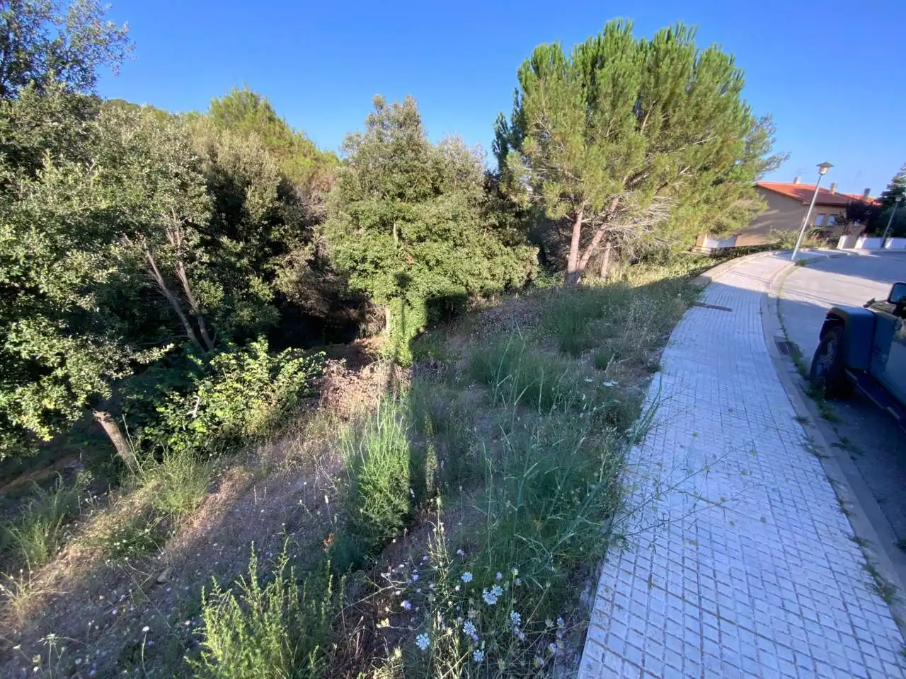 Wohnbaugrundstück zum Verkauf in Calle Berti