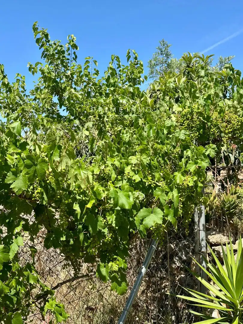 Jardín de Finca rústica en venta en L'Ampolla con Aire acondicionado, Calefacción y Terraza