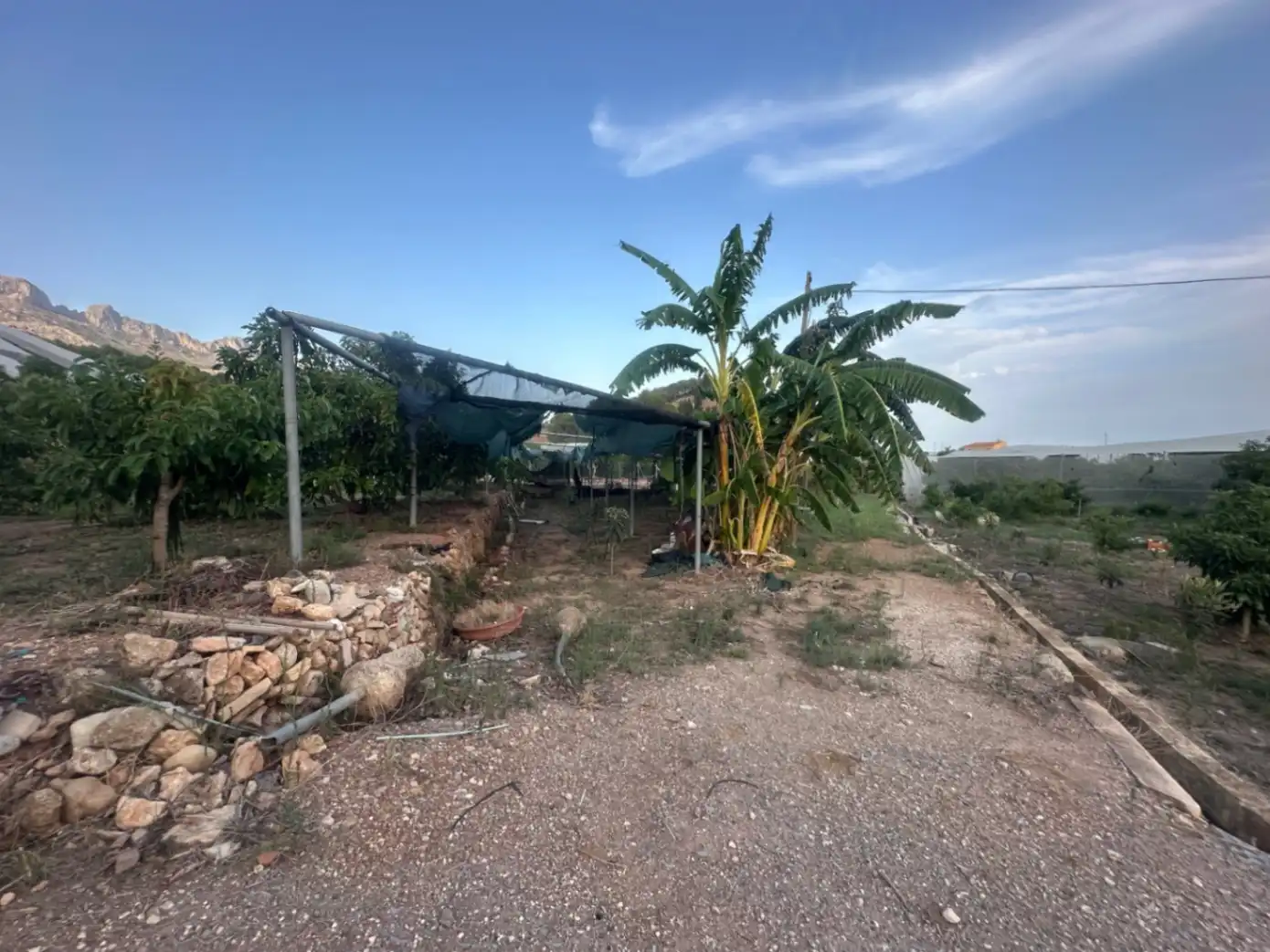 Finca rústica en venta en Callosa d'en Sarrià con Jardín privado, Terraza y Trastero
