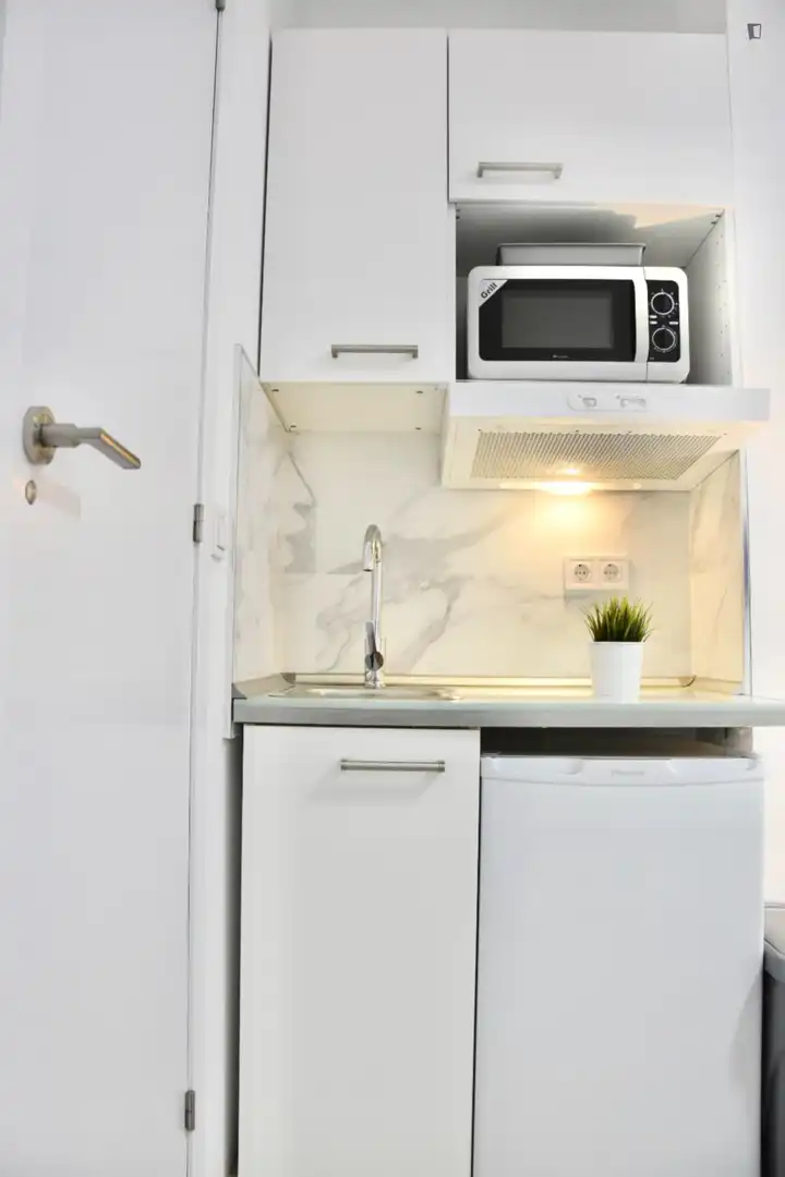 Kitchen of Study for rent in Madrid  with Air Conditioner, Heating and Furnished