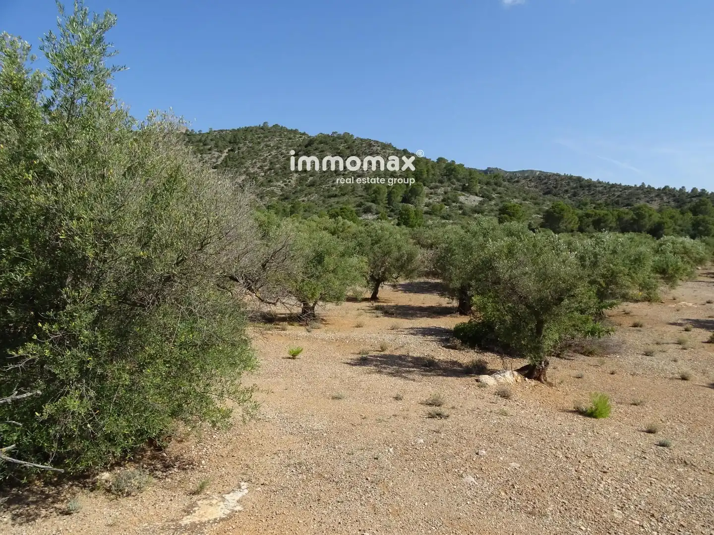 Terrain résidentiel à vendre à 13, imagen 16