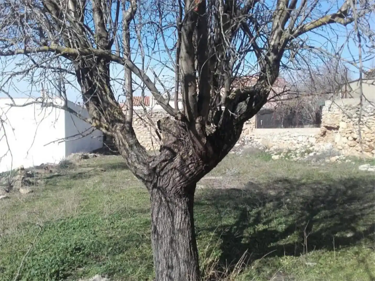 Finca rústica en venta en Alatoz