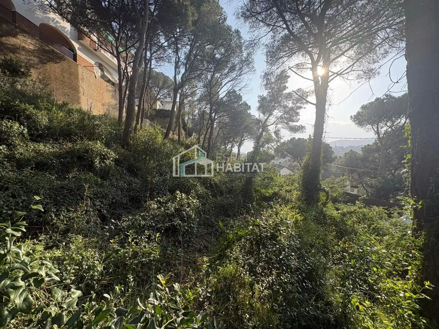 Terreny residencial en venda a Cabrils, imagen 7