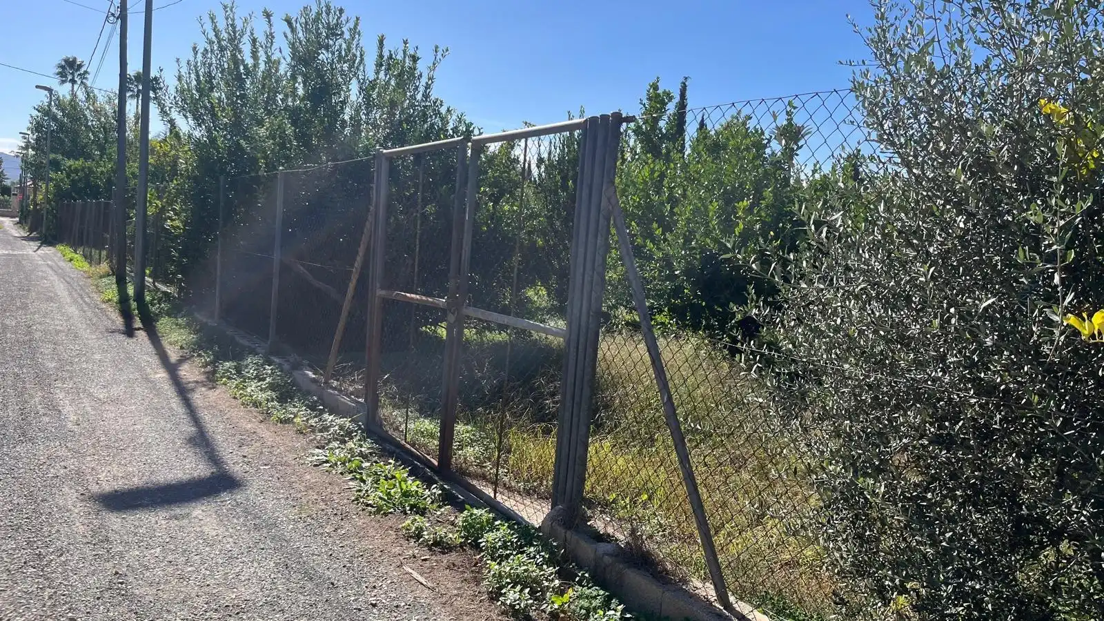 Terreny rústic en venda a Pedanías Oeste, imagen 7