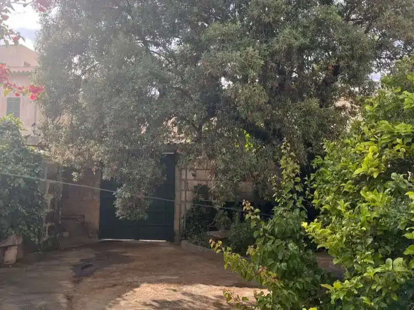 Garden of Flat for sale in Ariany  with Private garden, Storage room and Furnished