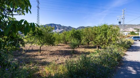 Tu refugio en la naturaleza! Parcela rústica con encanto y todas las comodidades, immagine 2