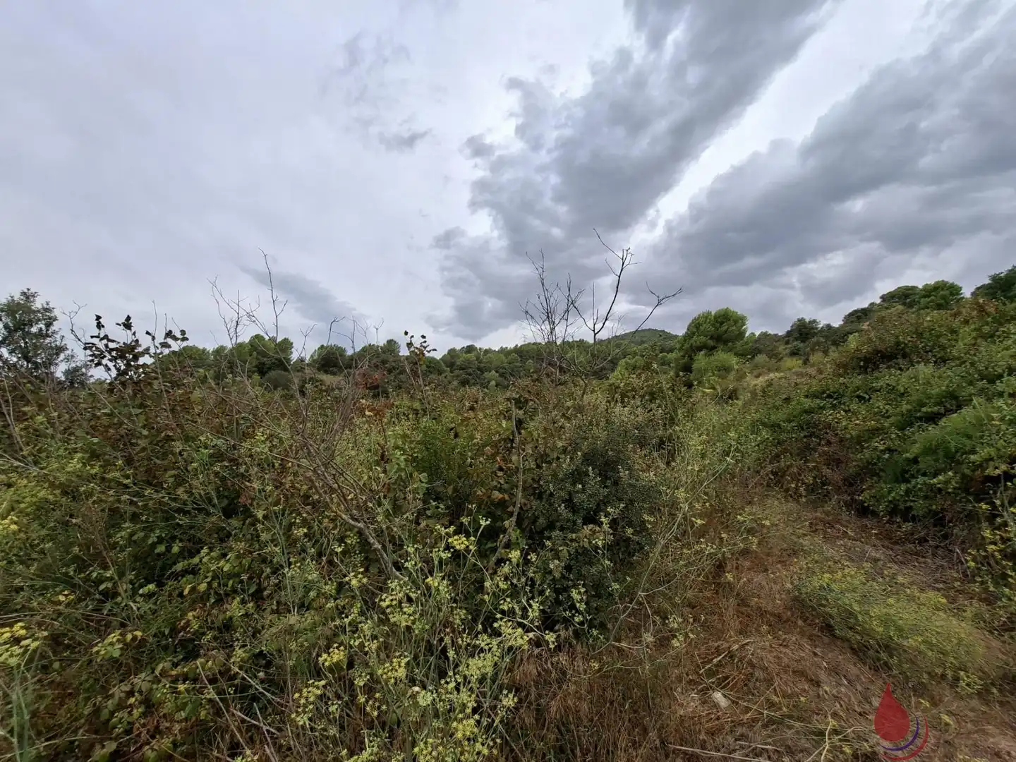 Lands and plots for sale in CARPIS, imagen 2