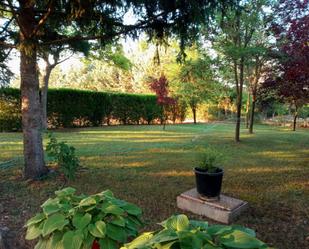 Garden of Industrial land for sale in Castañeda
