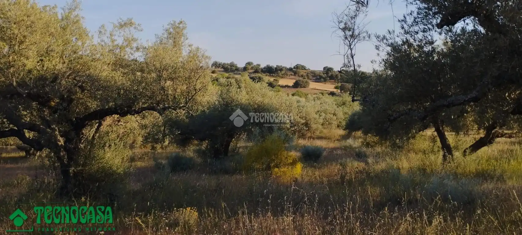 Terreni e lotti in vendita a Méntrida, imagen 7