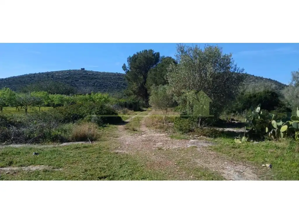 Terreny residencial en venda a Partidas de interior - Zona Rústica, imagen 6
