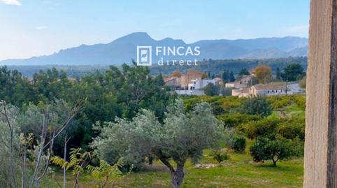 Foto 4 de Finca rústica en venda a Wf7w+428, Xerta, Tarragona