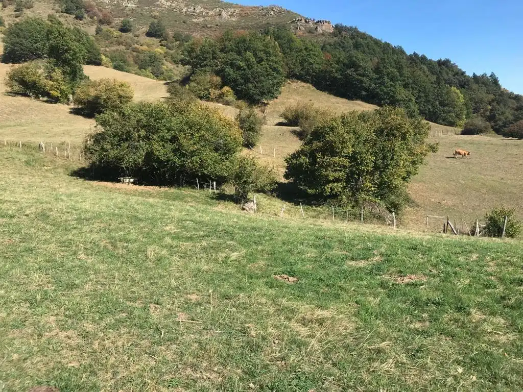 Terreni e lotti in vendita a Vega de Liébana, imagen 12