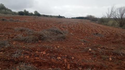 Foto 2 de Terreno en venta en La Guija, Ciudad Real Capital