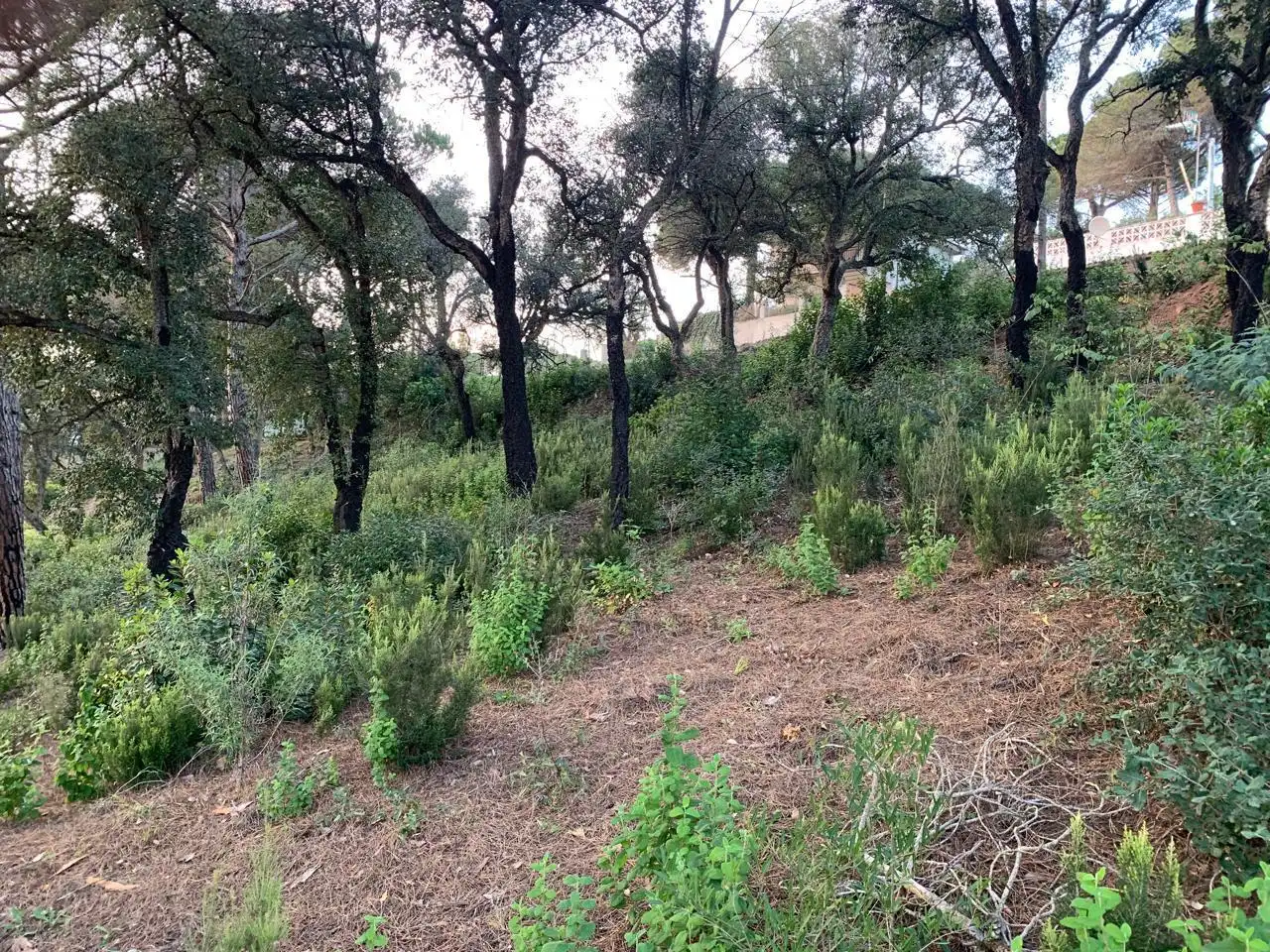 Grundstücke und Bauplätze zum Verkauf in Lloret Residencial - Montlloret, imagen 17